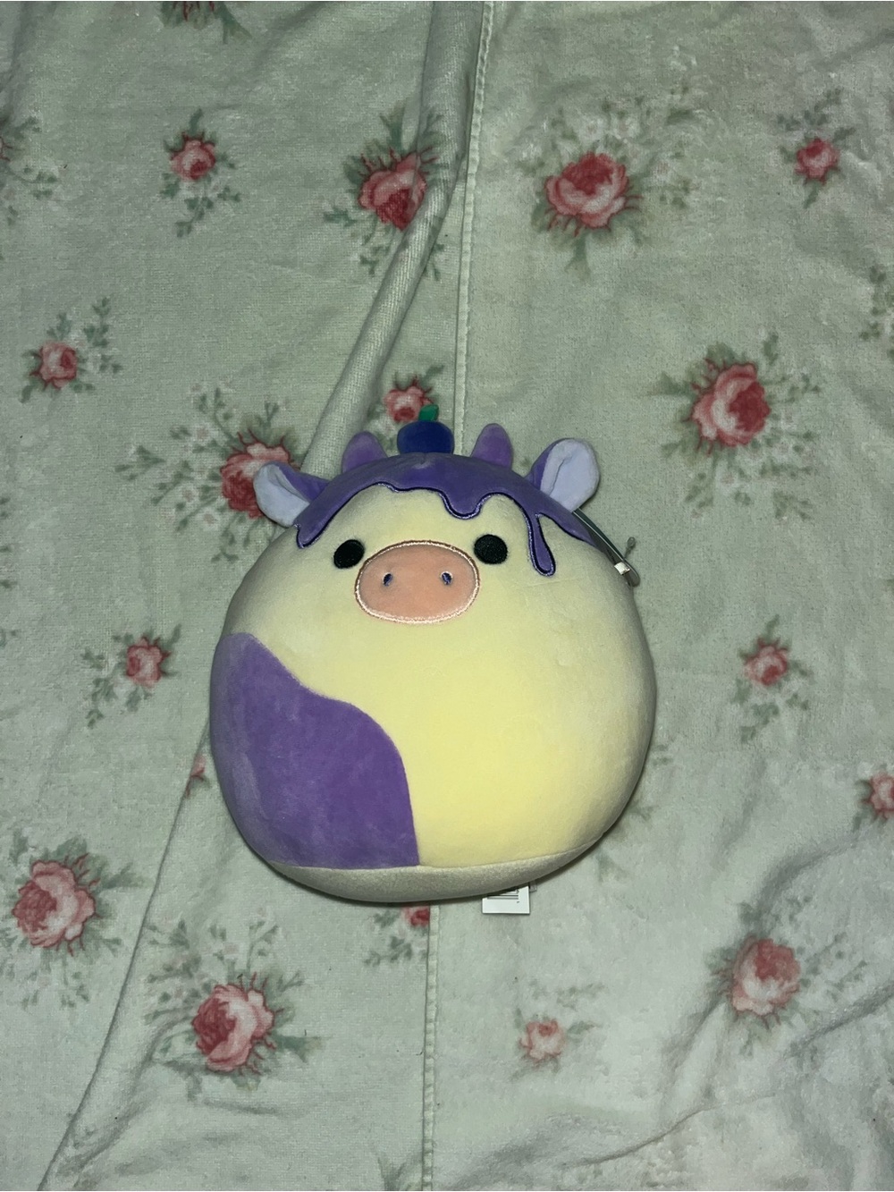 Squishmallows Benito Cow Plush in Purple and Yellow